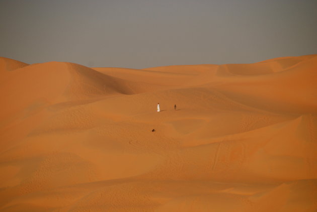 Stipje in de woestijn