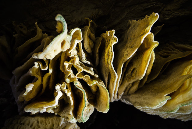 Yagodina cave