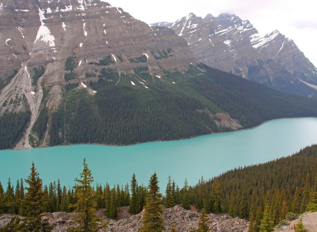 Peyto Lake