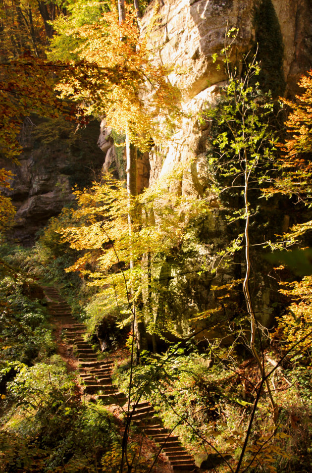 herfstwandeling in Luxemburg