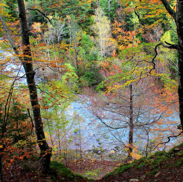 Herfst wandelingen