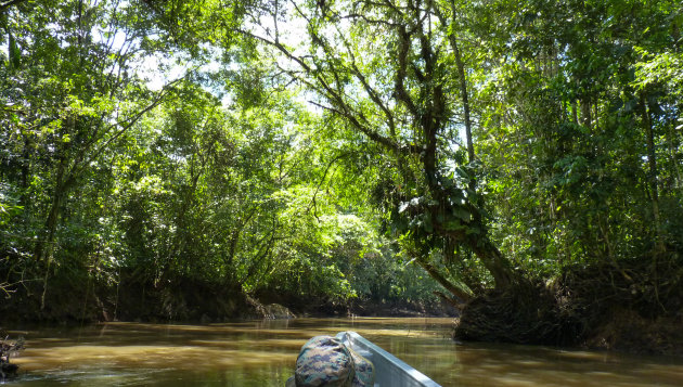 Varen over de Cuyabeno rivier