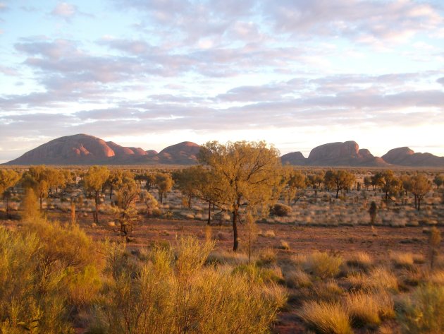 Kata Tjuta in herfstkleuren