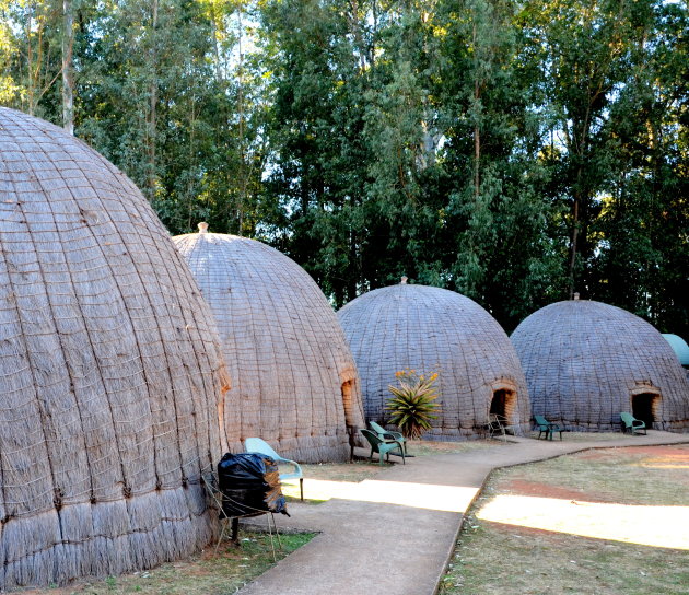 Bee hives.