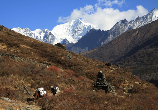 Onderweg in Langtang