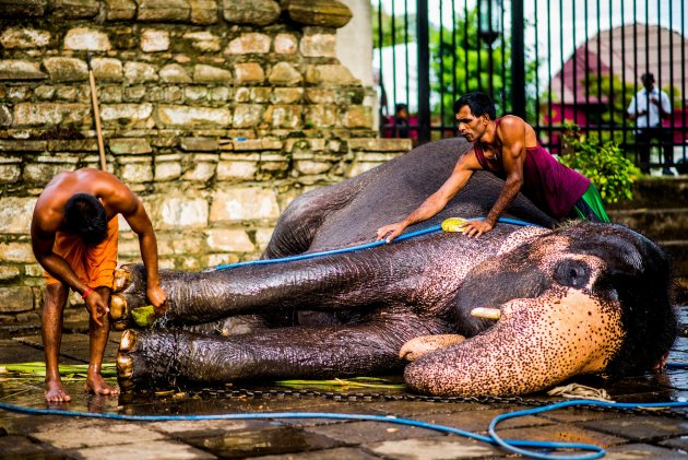 Esala Perahera