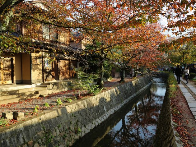 Herfstwandeling in Kyoto