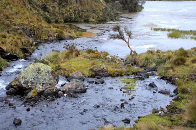 El Cajas