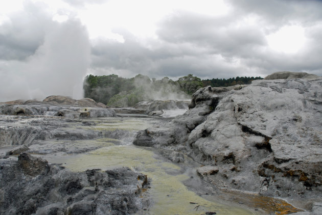 De geisers van Rotorua