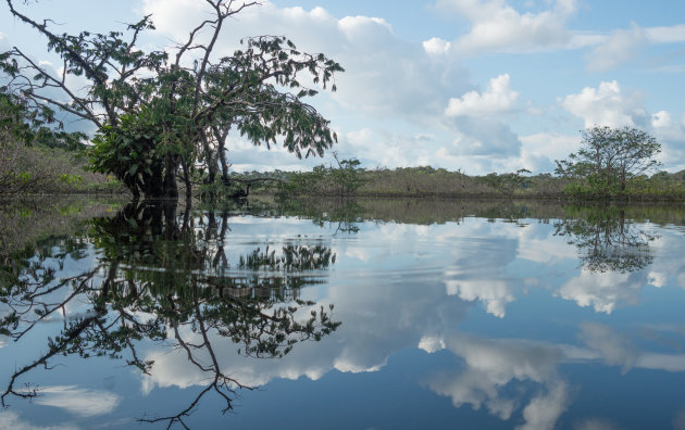 Cuyabeno reservaat