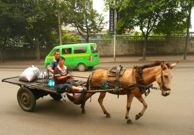 Paard en wagen.