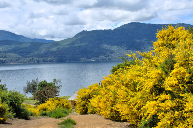 Lago Lácar 