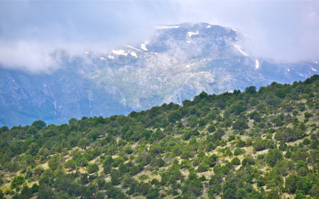 Bergen en heuvels rond het Prespa meer in Macedonië 