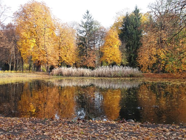 Prachtige herfstkleuren in het Lazienkipark