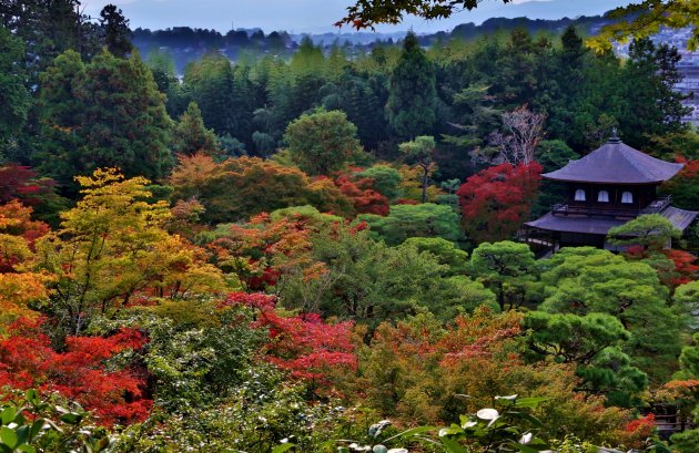 Nog een keer Japanse herfst