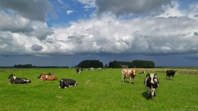 Heerlijk Hollands