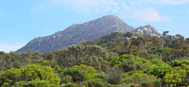 Tafelberg