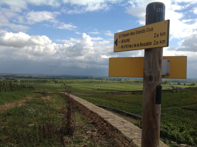 Wandelen Wijngaarden Bourgondie