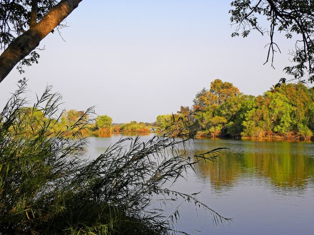 Zambiaans landschap
