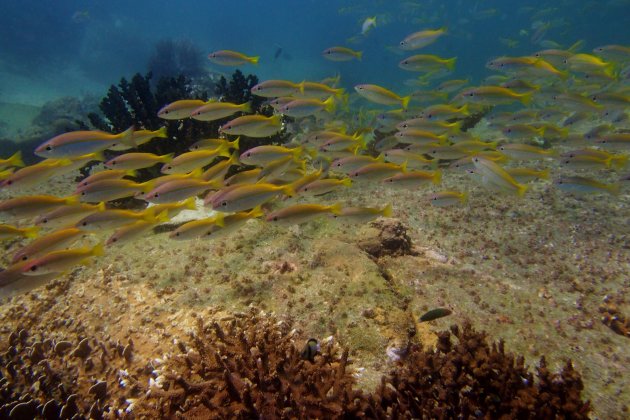 underwater highway