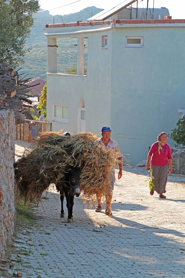 Straatbeeld Taslica