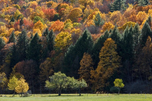 Vermont Route 100 