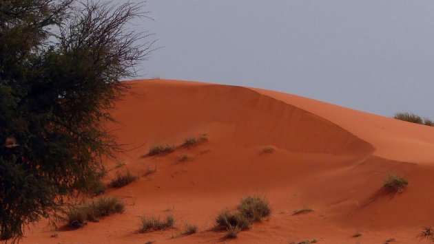 zandduinen