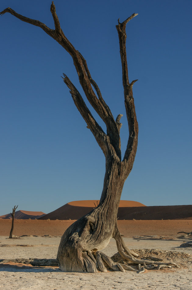 Dode vlei 