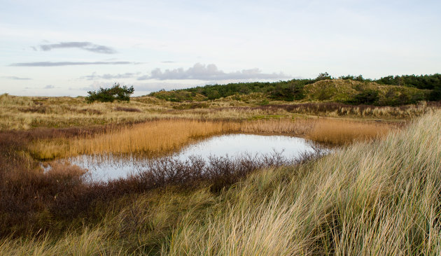 Gevarieerd Vlieland