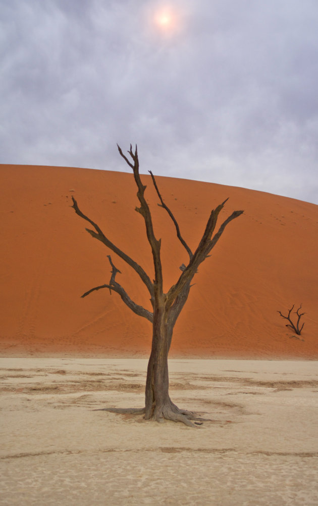 Sunrise Deadvlei