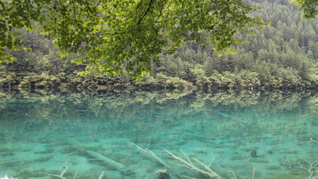 Jiuzhaigou, water zoals je water nog nooit gezien hebt