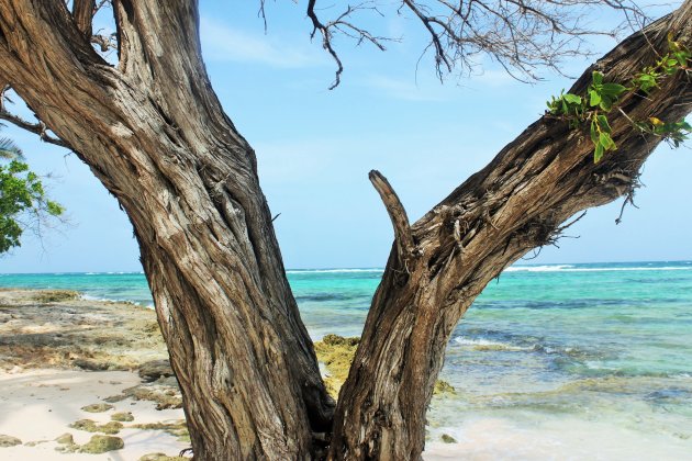 Stranden op Guadeloupe