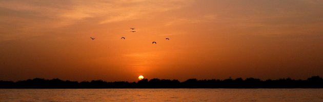 op de pinasse bij zonsondergang