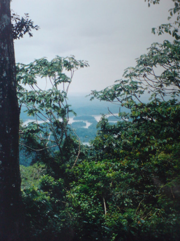 2001-2002 Brownsberg Natuurpark.