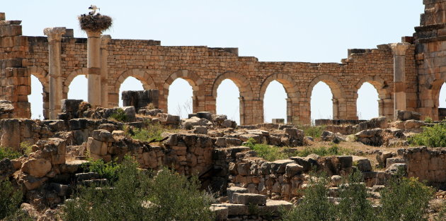 Volubilis