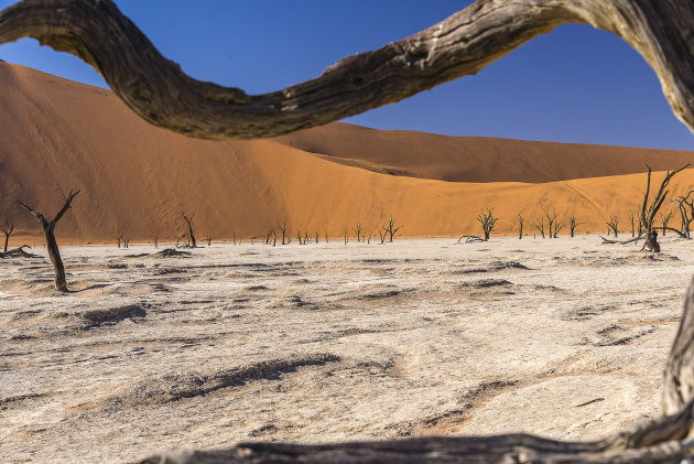 Doorkijkje Deadvlei