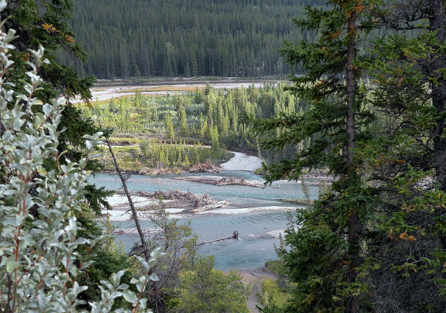 Doorkijkje langs de Icefield Parkway !