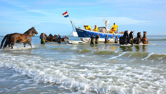 Demonstratie van de paardenreddingsboot op Ameland