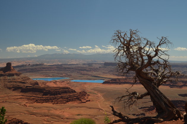 Dead Horse Point State Park