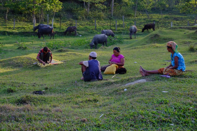 Vredig tafereel bij Sauraha