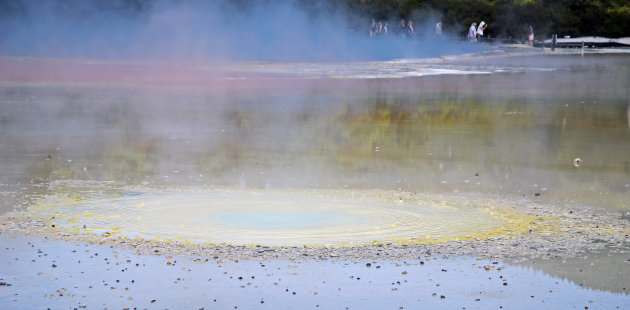 Whakarewarewa Thermal Area