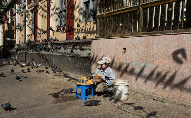 Feeding the pigeons