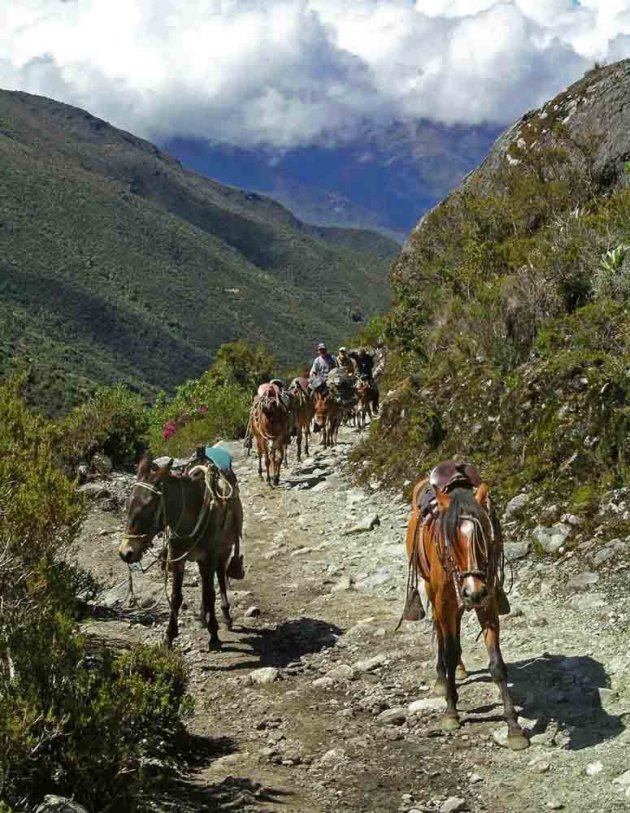 Andes trekking, op weg naar de 4200 meter