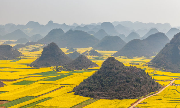 De koolzaadvelden van Yunnan