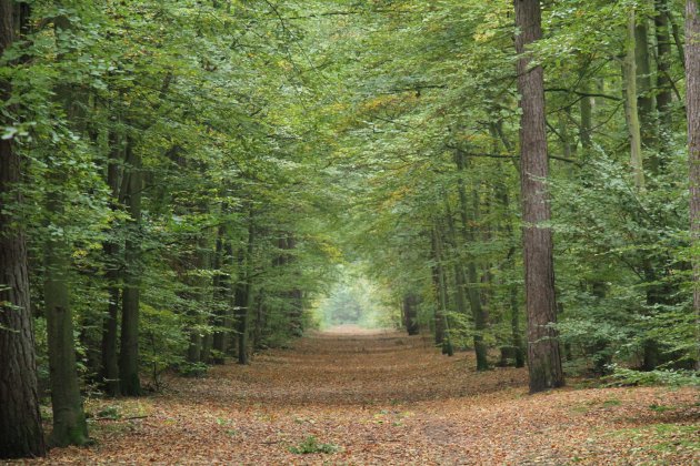 Eindeloos op Texel