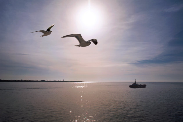 Overtocht naar Texel