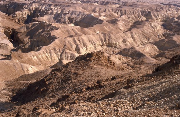 In de Negev