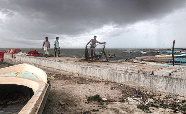 Levendige haven in Mannar