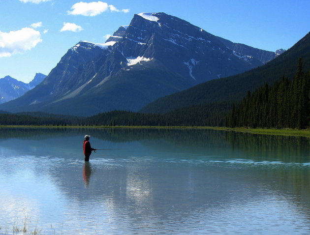 Icefields Parkway Toppers