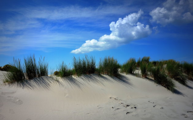 De duinen van Terschelling